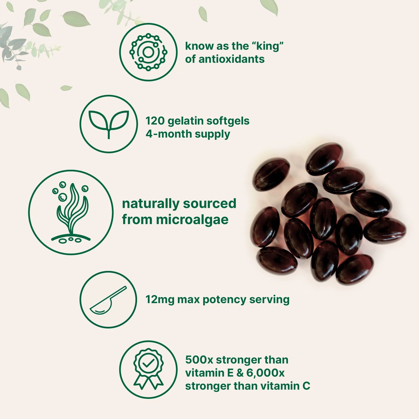 Micro Ingredients Astaxanthin 12mg | Supports Eye, Joint, Internal Circulation, Skin Health & Natural Tanning