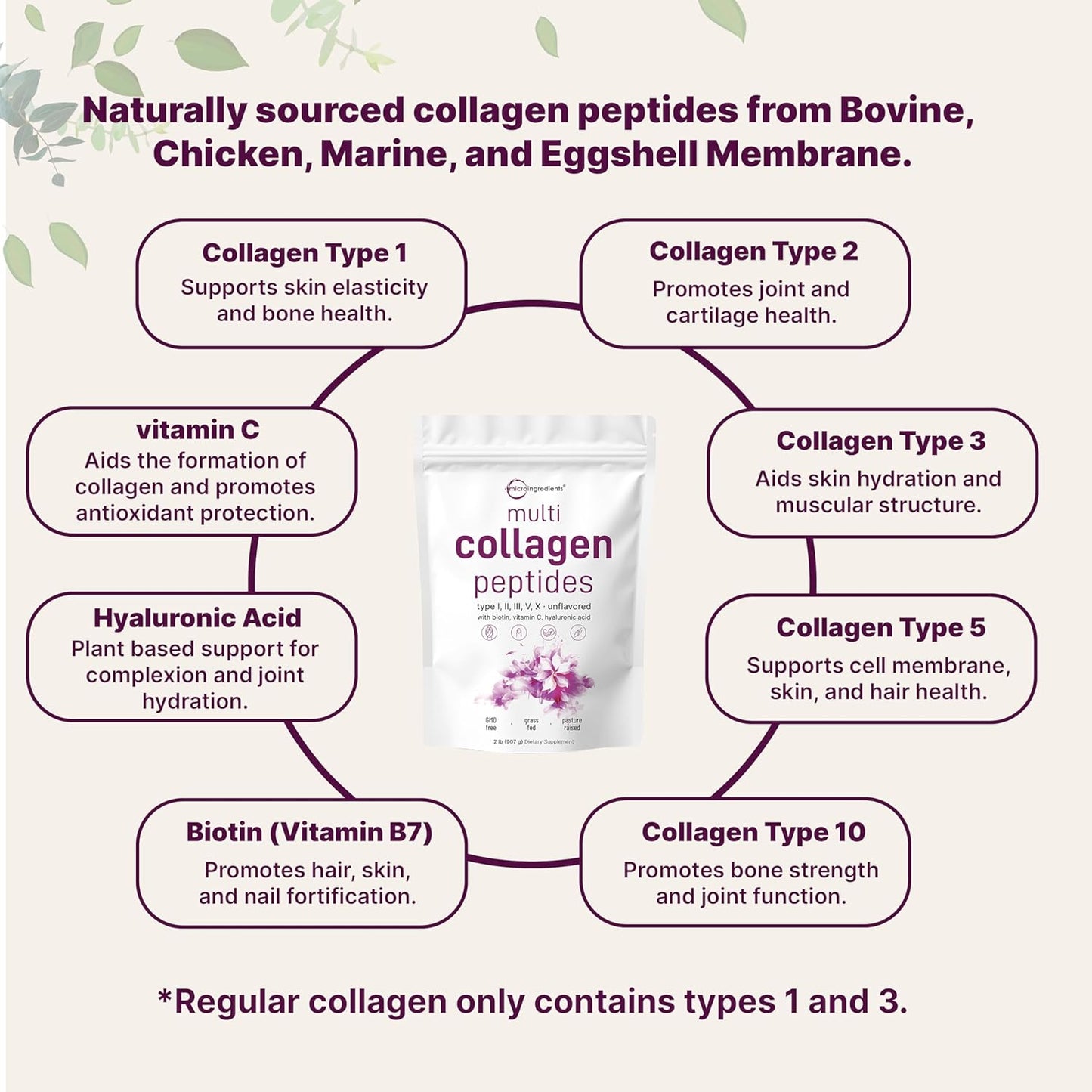 Multi Collagen Peptides Powder - 8oz